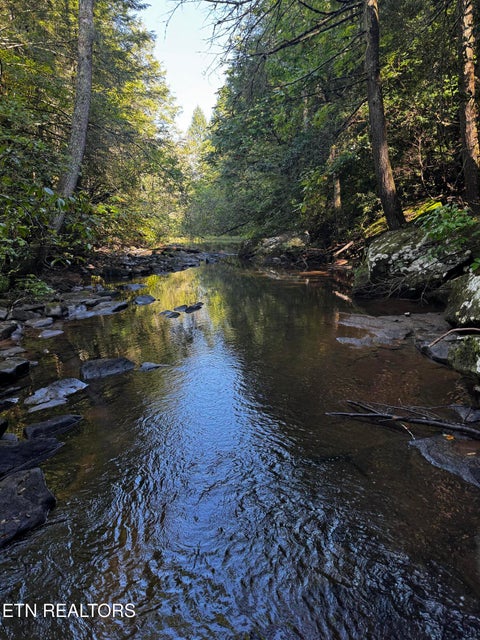 Tiny photo for 1475 Campground Rd, Clarkrange, TN 38553 (MLS # 1355740)