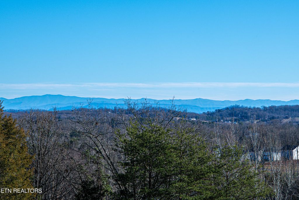 Photo of 7413 Ridge Haven Court, Corryton, TN 37721 (MLS # 1252615)