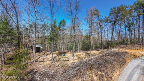 Tiny photo for 2169 King Hollow Rd, Sevierville, TN 37876 (MLS # 1356017)