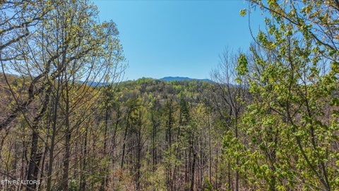 Tiny photo for 2169 King Hollow Rd, Sevierville, TN 37876 (MLS # 1356017)