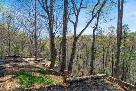 Tiny photo for 2169 King Hollow Rd, Sevierville, TN 37876 (MLS # 1356017)