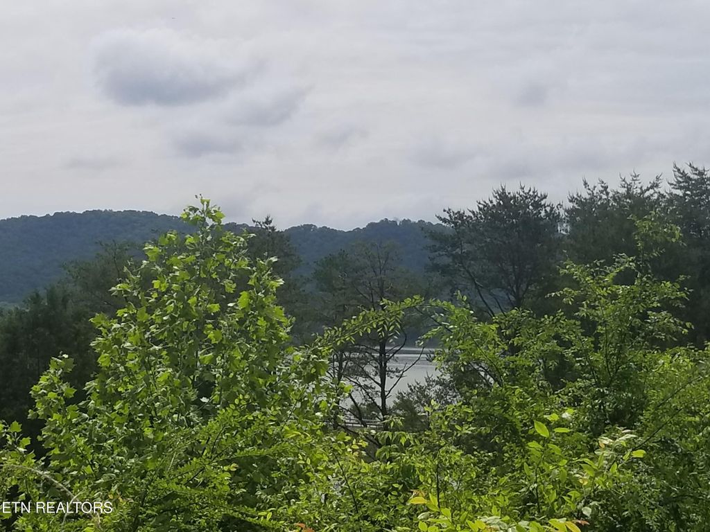 Photo of 61 Whispering Court, Bean Station, TN 37708 (MLS # 1286861)