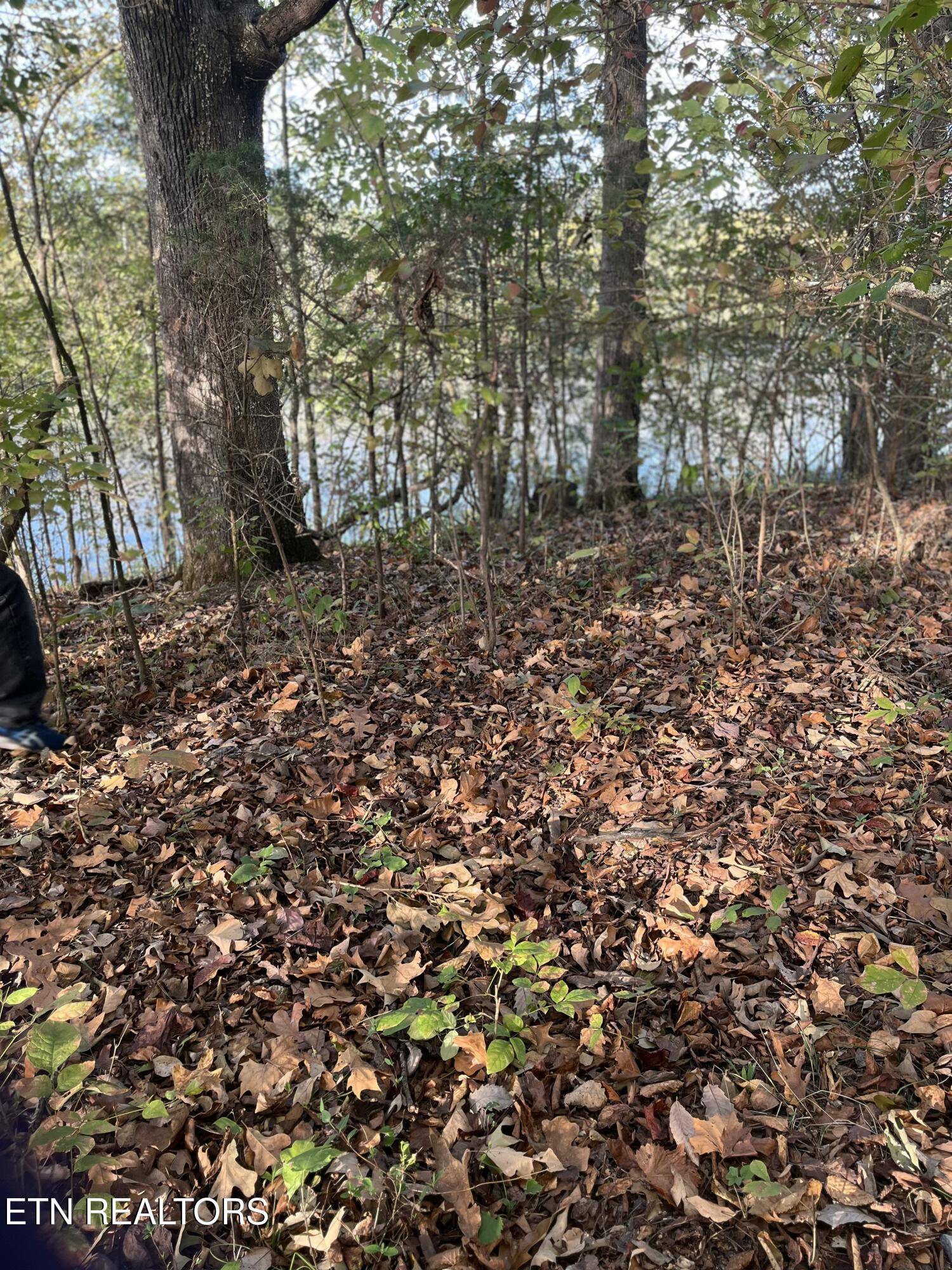 176 Lakewood Estates Lane