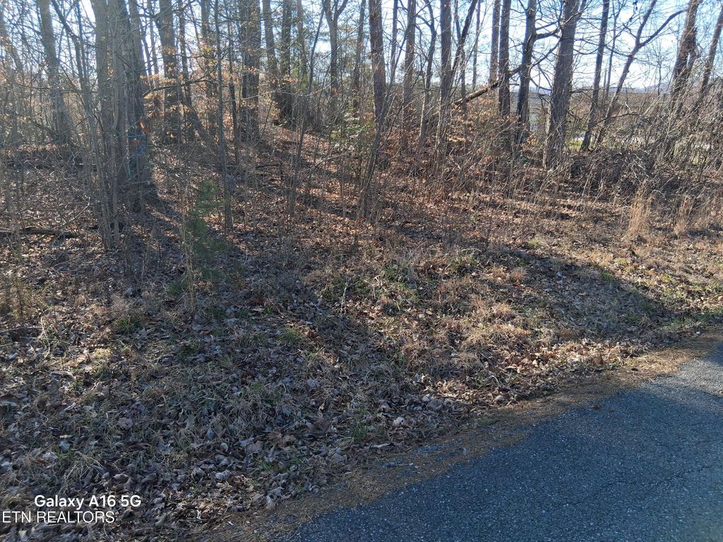Photo of 176 Lakewood Estates Lane, Harriman, TN 37748 (MLS # 1330909)