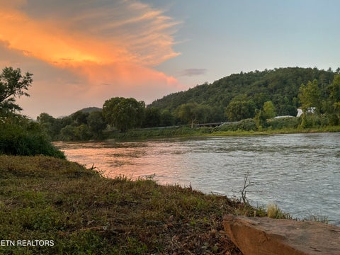 Tiny photo for 3197 E Highway 25-70, Del Rio, TN 37727 (MLS # 1346553)