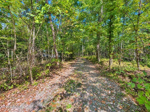 Tiny photo for 340 Cleggan Drive, Crossville, TN 38572 (MLS # 1357416)