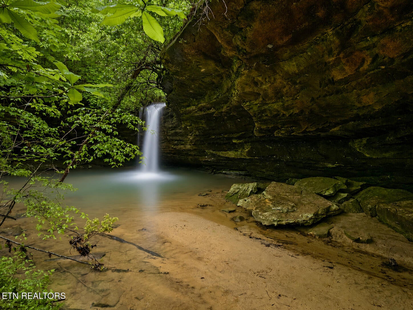 Dripping Springs Rd