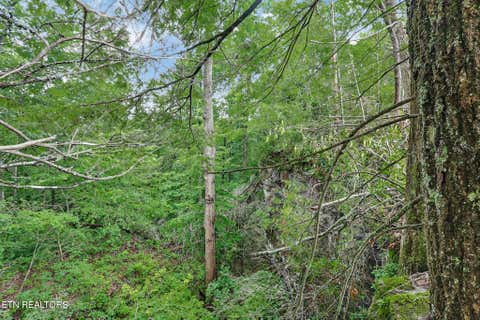 Tiny photo for Dripping Springs Rd, Monterey, TN 38574 (MLS # 1349866)