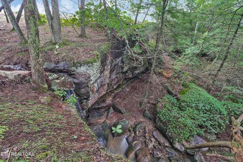 Tiny photo for Dripping Springs Rd, Monterey, TN 38574 (MLS # 1349866)