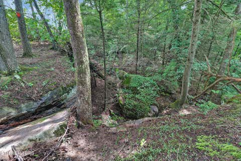 Tiny photo for Dripping Springs Rd, Monterey, TN 38574 (MLS # 1349866)