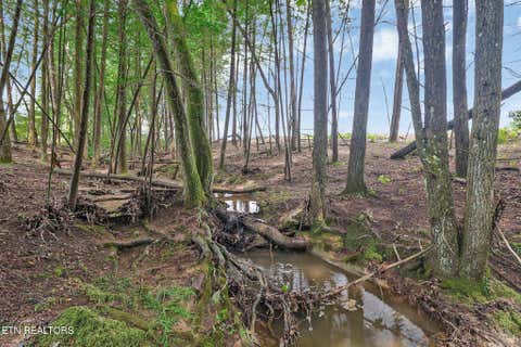 Tiny photo for Dripping Springs Rd, Monterey, TN 38574 (MLS # 1349866)