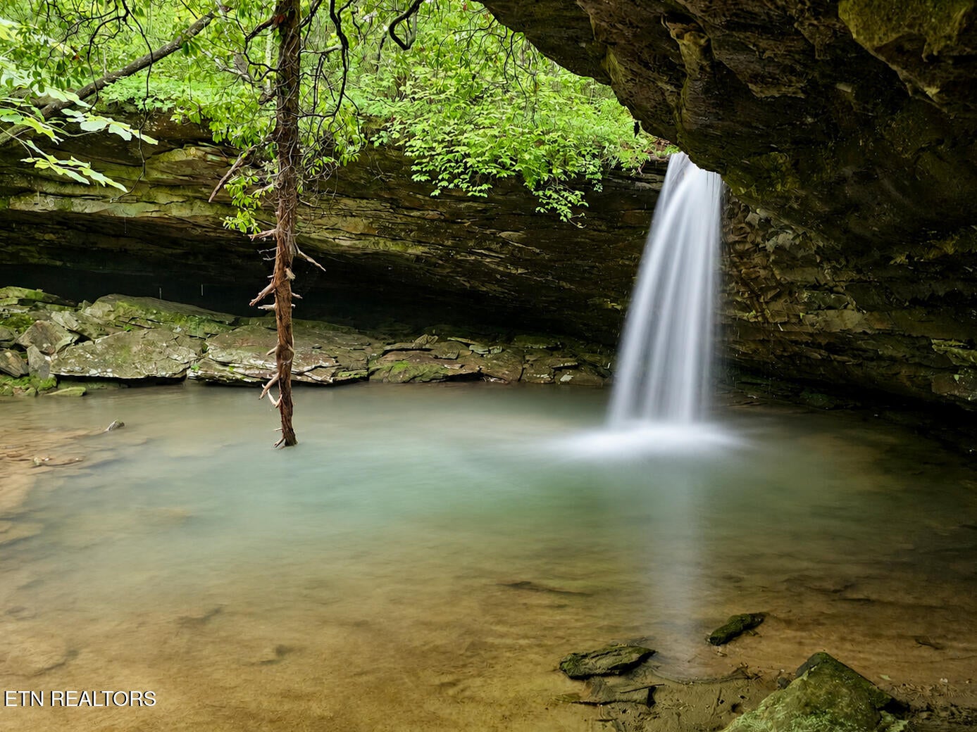 Dripping Springs Rd