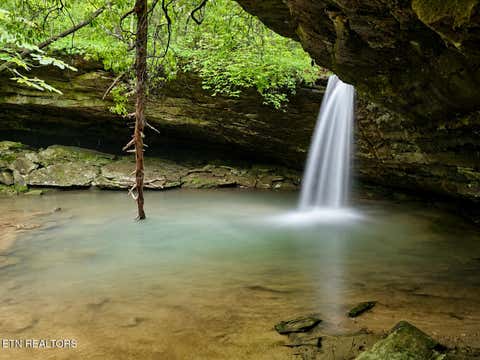 Tiny photo for Dripping Springs Rd, Monterey, TN 38574 (MLS # 1349866)