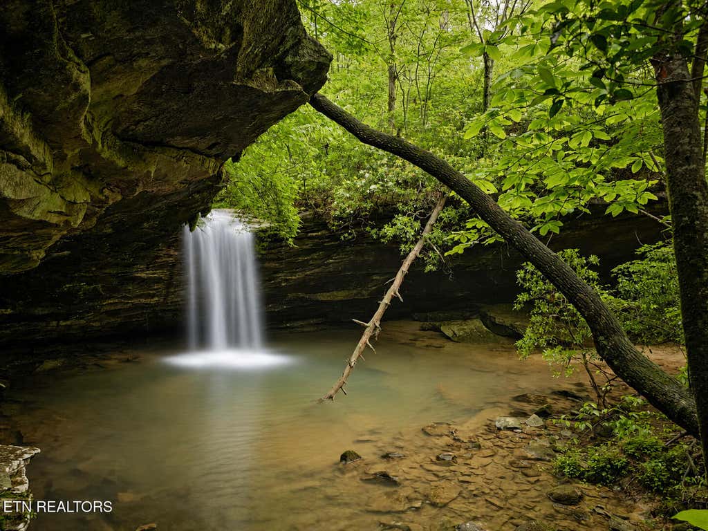 Photo of Dripping Springs Rd, Monterey, TN 38574 (MLS # 1349866)