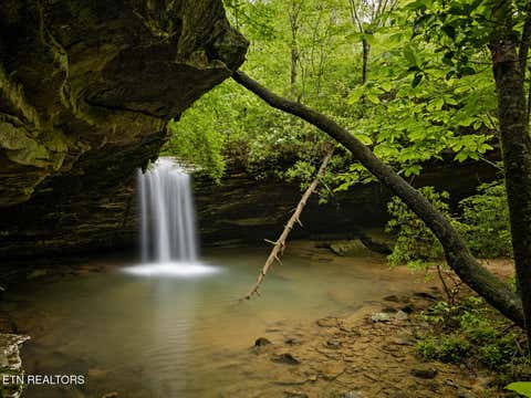 Tiny photo for Dripping Springs Rd, Monterey, TN 38574 (MLS # 1349866)