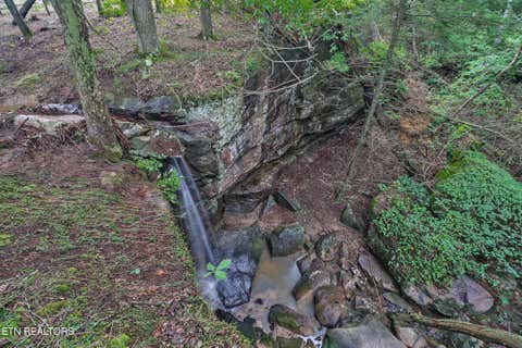 Tiny photo for Dripping Springs Rd, Monterey, TN 38574 (MLS # 1349866)
