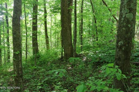 Crab Mountain Rd Jamestown TN 38556