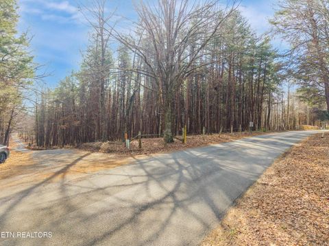 Tiny photo for County Rd. 262 Lot 5, Niota, TN 37826 (MLS # 1328077)