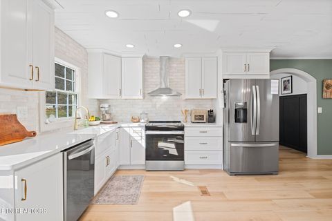 Tiny photo for 642 Sinking Springs Rd, Clinton, TN 37716 (MLS # 1329598)