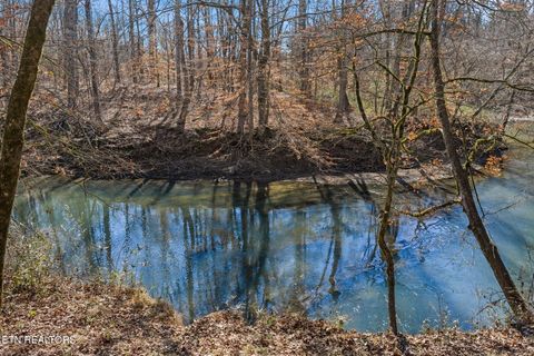 Tiny photo for 642 Sinking Springs Rd, Clinton, TN 37716 (MLS # 1329598)