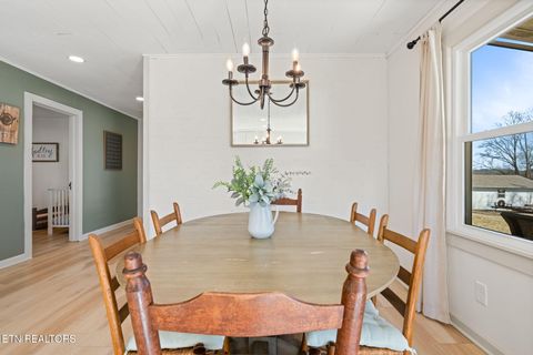 Tiny photo for 642 Sinking Springs Rd, Clinton, TN 37716 (MLS # 1329598)