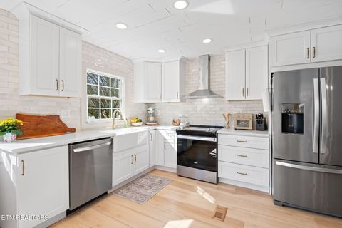 Tiny photo for 642 Sinking Springs Rd, Clinton, TN 37716 (MLS # 1329598)