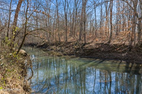 Tiny photo for 642 Sinking Springs Rd, Clinton, TN 37716 (MLS # 1329598)