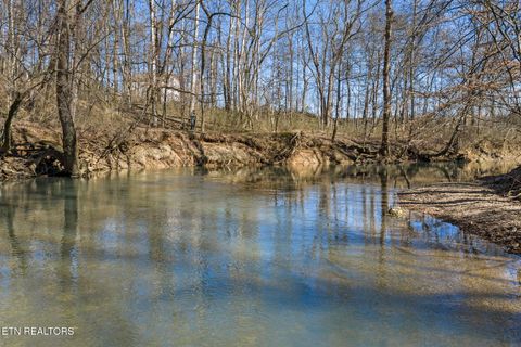 Tiny photo for 642 Sinking Springs Rd, Clinton, TN 37716 (MLS # 1329598)