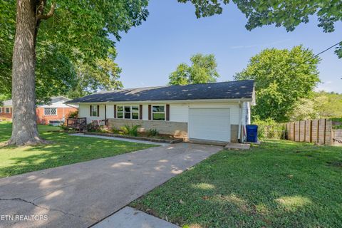 Photo of 412 Woodland Drive, Clinton, TN 37716 (MLS # 1347752)