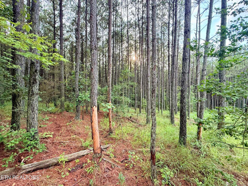Photo of Lot 10, 11, &amp; 13 Airport Road, Rockwood, TN 37854 (MLS # 1349350)