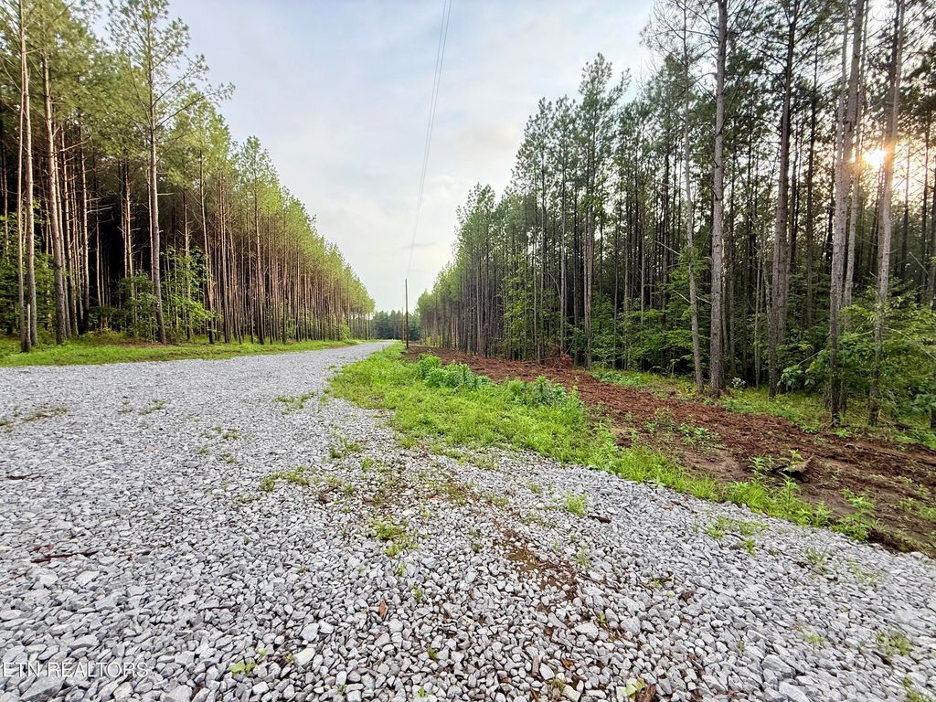 Photo of Lot 10, 11, &amp; 13 Airport Road, Rockwood, TN 37854 (MLS # 1349350)