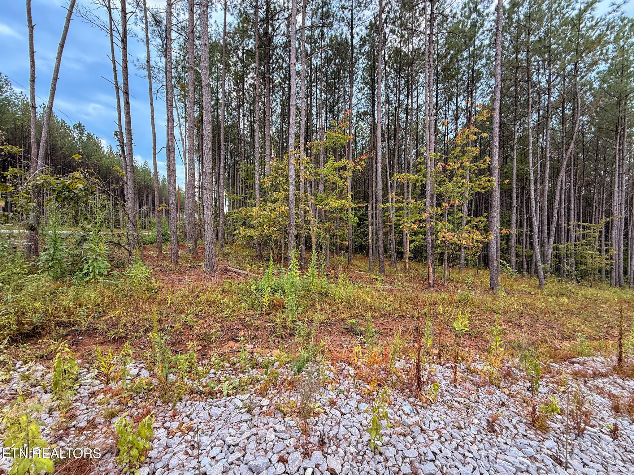 Lot 10, 11, & 13 Airport Road