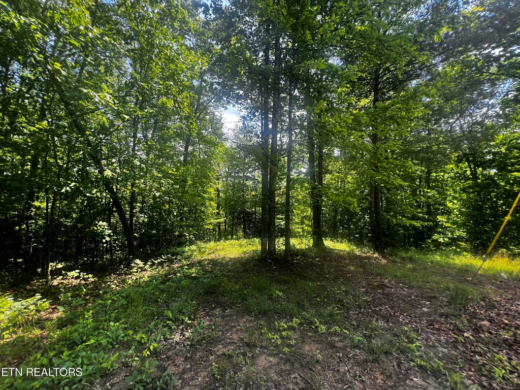Photo of 149 Fox Tr, Wartburg, TN 37887 (MLS # 1301788)