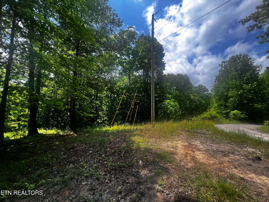 Photo of 149 Fox Tr, Wartburg, TN 37887 (MLS # 1301788)