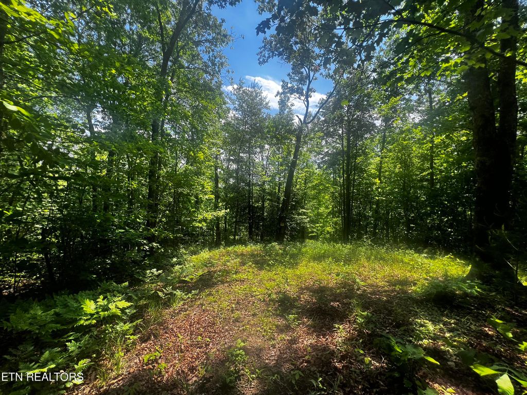 Photo of 149 Fox Tr, Wartburg, TN 37887 (MLS # 1301788)