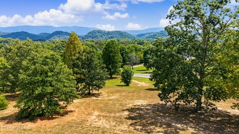 Tiny photo for 6051 Lindrick Lane, Maryville, TN 37801 (MLS # 1354999)