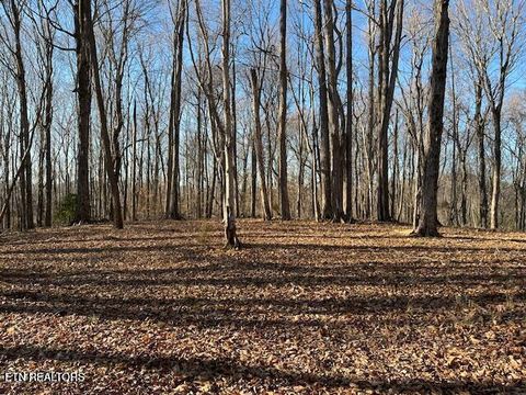 Tiny photo for Highway 39E, Englewood, TN 37329 (MLS # 1325846)