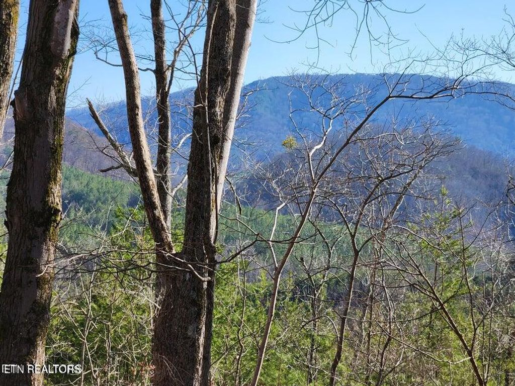 Photo of Highway 39E, Englewood, TN 37329 (MLS # 1325846)