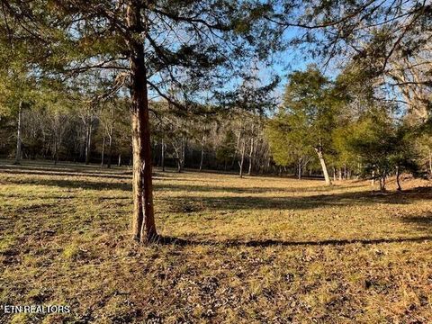 Tiny photo for Highway 39E, Englewood, TN 37329 (MLS # 1325846)