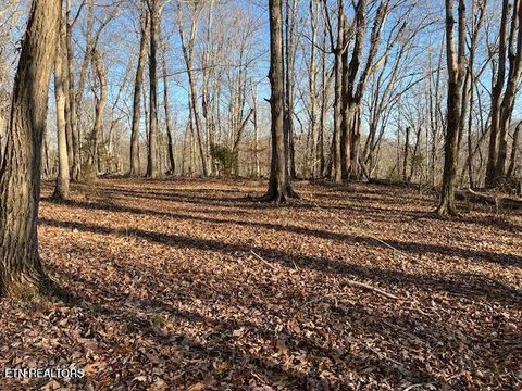 Tiny photo for Highway 39E, Englewood, TN 37329 (MLS # 1325846)