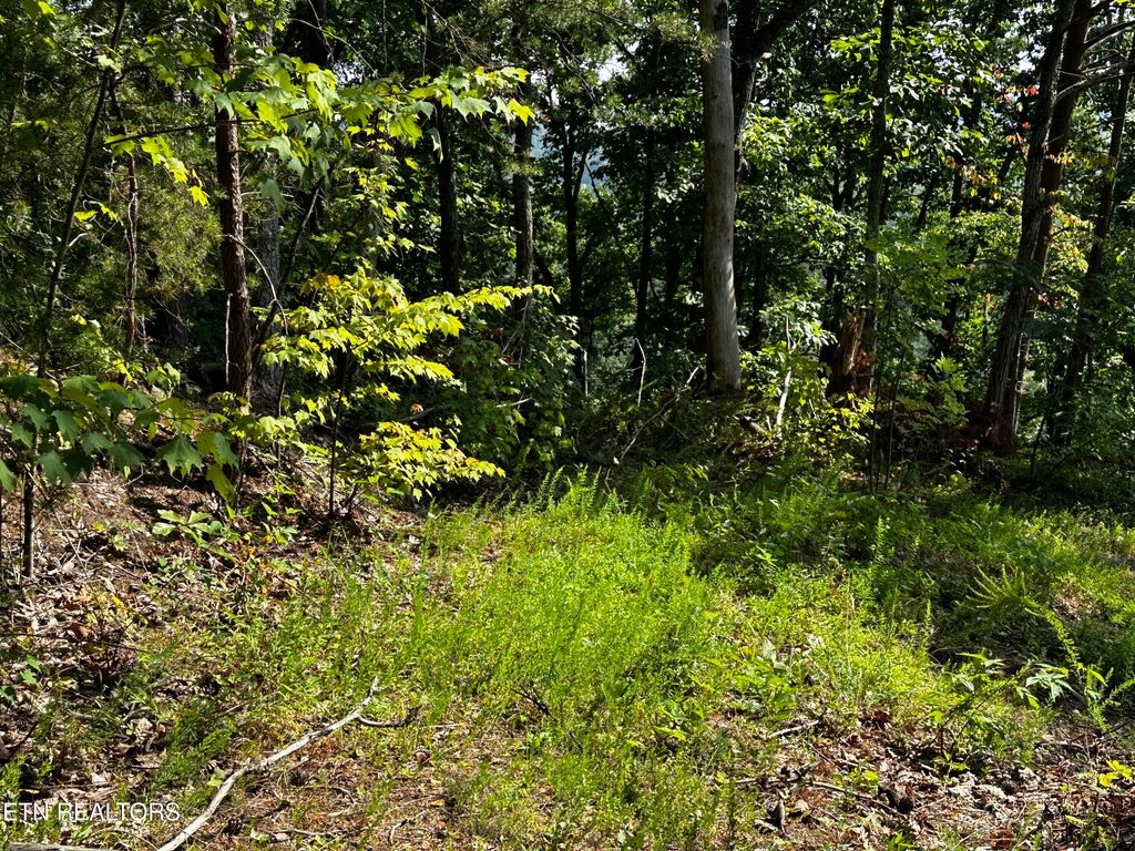 Photo of Huckleberry Way, Sevierville, TN 37862 (MLS # 1334506)