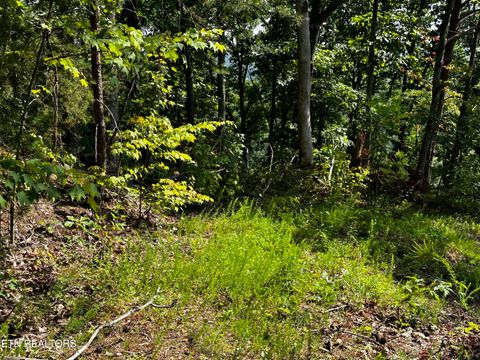 Featured picture for the property 1334506