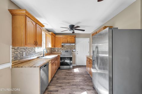 Tiny photo for 145 Shady Grove Road Rd, Lancing, TN 37770 (MLS # 1318996)