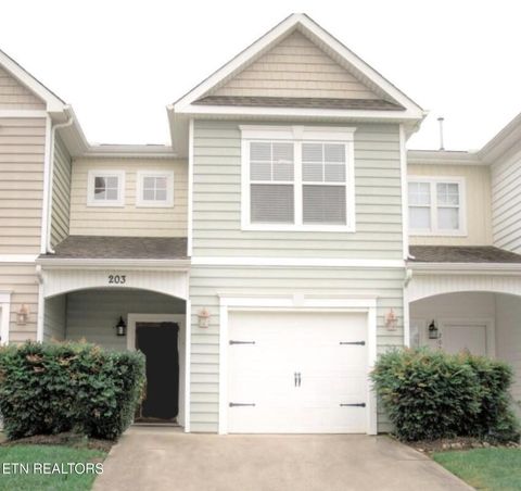 203 Bar Tall Way Seymour TN 37865