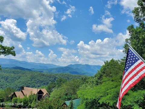 Tiny photo for 210 Meghans Way, Townsend, TN 37882 (MLS # 1298537)