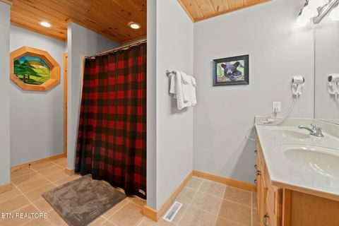 Tiny photo for 210 Meghans Way, Townsend, TN 37882 (MLS # 1298537)
