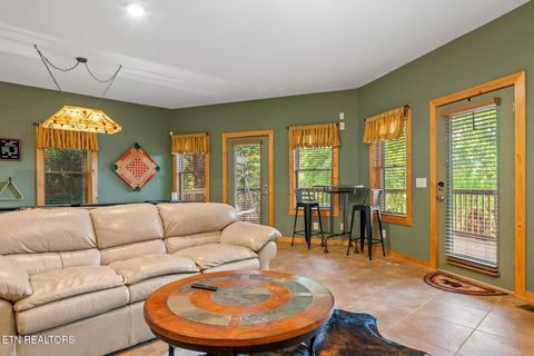 Tiny photo for 210 Meghans Way, Townsend, TN 37882 (MLS # 1298537)