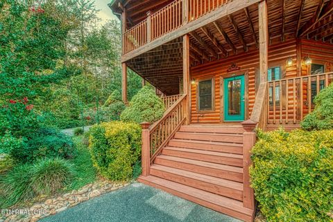 Tiny photo for 210 Meghans Way, Townsend, TN 37882 (MLS # 1298537)