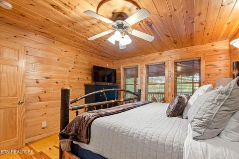 Tiny photo for 210 Meghans Way, Townsend, TN 37882 (MLS # 1298537)