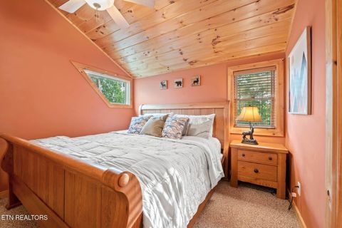 Tiny photo for 210 Meghans Way, Townsend, TN 37882 (MLS # 1298537)